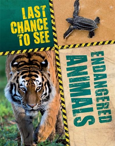 Last Chance to See: Endangered Animals - Last Chance to See (Hardback)