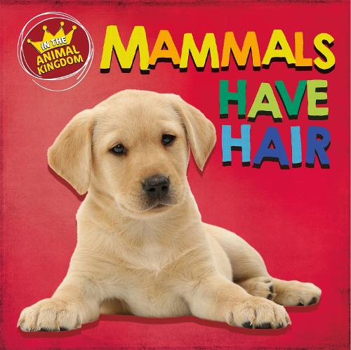 In the Animal Kingdom: Mammals Have Hair - In the Animal Kingdom (Hardback)