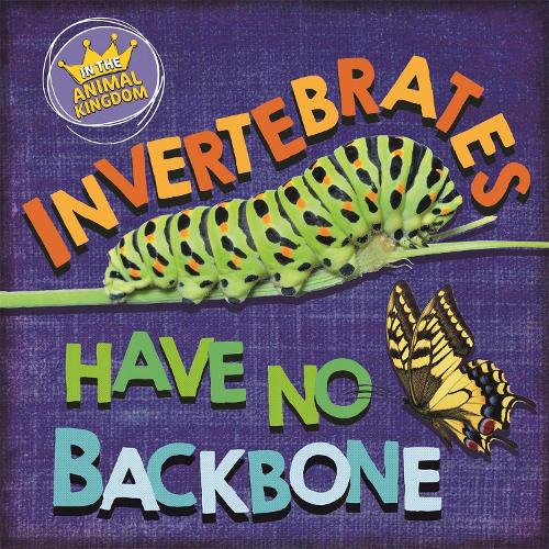 In the Animal Kingdom: Invertebrates Have No Backbone - In the Animal Kingdom (Hardback)