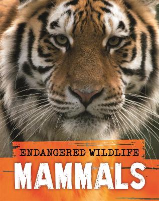 Endangered Wildlife: Rescuing Mammals (Paperback)