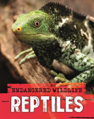 Endangered Wildlife: Rescuing Reptiles (Paperback)