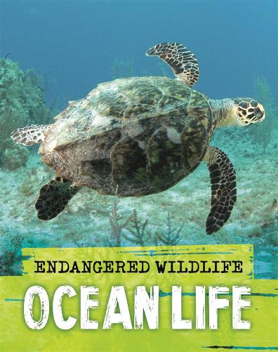 Endangered Wildlife: Rescuing Ocean Life (Hardback)
