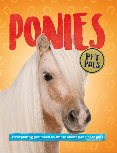 Pet Pals: Ponies - Pet Pals (Paperback)