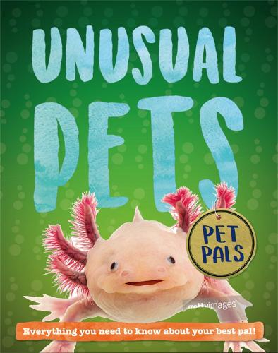 Pet Pals: Unusual Pets - Pet Pals (Hardback)