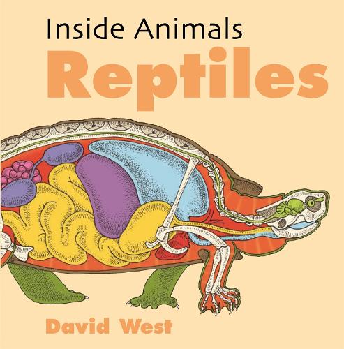 Reptiles - Inside Animals (Paperback)