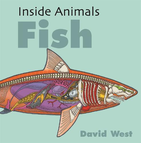 Inside Animals: Fish - Inside Animals (Hardback)