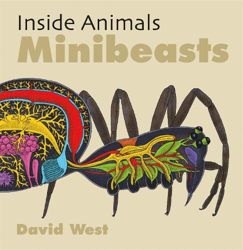 Inside Animals: Minibeasts - Inside Animals (Paperback)