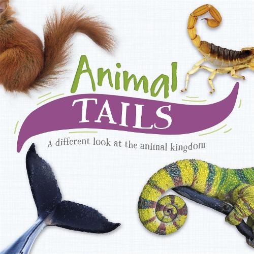 Animal Tails: A different look at the animal kingdom (Hardback)