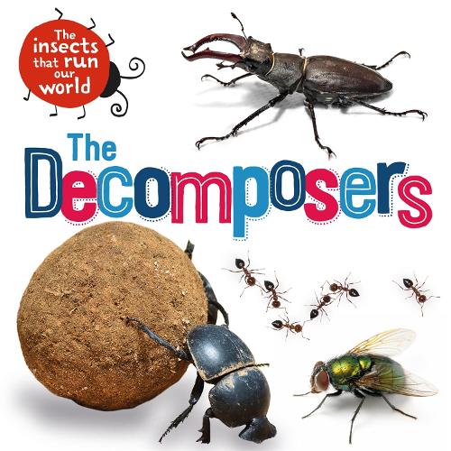 The Insects that Run Our World: The Decomposers - The Insects that Run Our World (Hardback)
