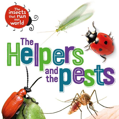 The Insects that Run Our World: The Helpers and the Pests - The Insects that Run Our World (Paperback)