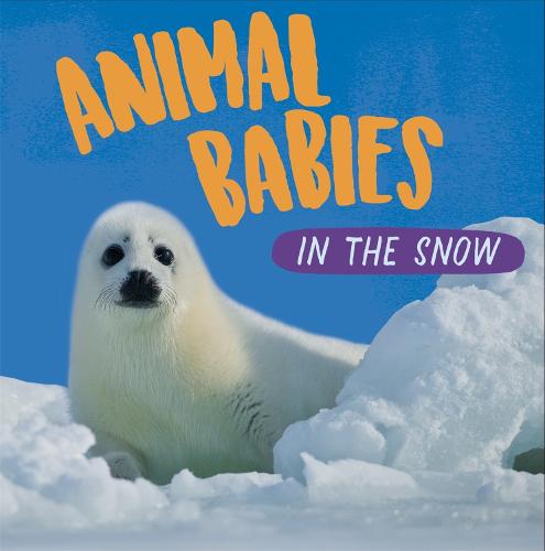 Animal Babies: In the Snow - Animal Babies (Hardback)