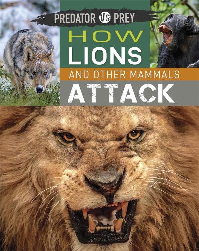 Predator vs Prey: How Lions and other Mammals Attack - Predator vs Prey (Hardback)