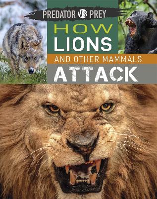 Predator vs Prey: How Lions and other Mammals Attack - Predator vs Prey (Paperback)