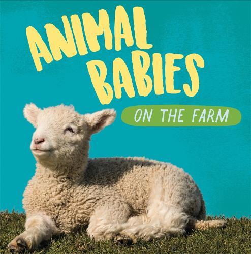 On the Farm - Animal Babies (Hardback)