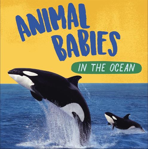 Animal Babies: In the Ocean by Sarah Ridley | Waterstones