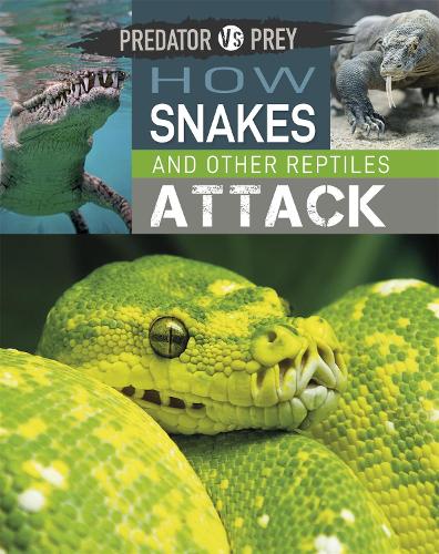 Predator vs Prey: How Snakes and other Reptiles Attack - Predator vs Prey (Hardback)