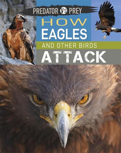 Predator vs Prey: How Eagles and other Birds Attack - Predator vs Prey (Hardback)