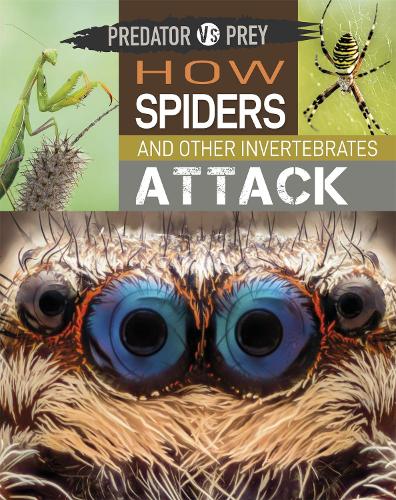 Predator vs Prey: How Spiders and other Invertebrates Attack - Predator vs Prey (Hardback)