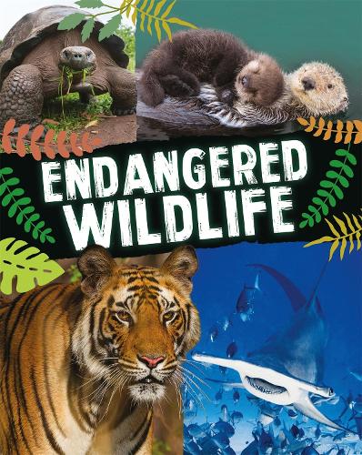 Endangered Wildlife (Hardback)
