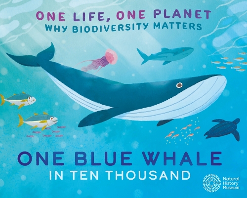 One Life, One Planet: One Blue Whale in Ten Thousand: Why Biodiversity Matters - One Life, One Planet (Paperback)