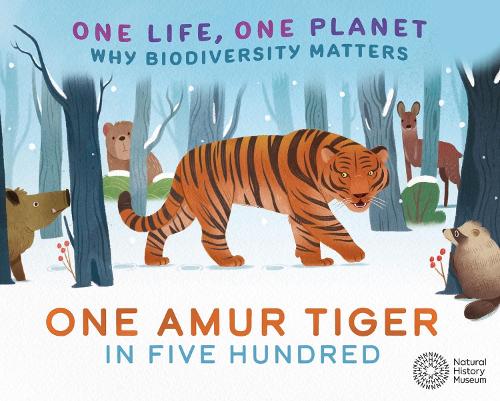 One Life, One Planet: One Amur Tiger in Five Hundred: Why Biodiversity Matters - One Life, One Planet (Paperback)