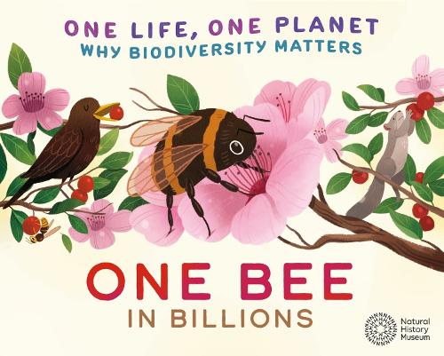 One Life, One Planet: One Bee in Billions: Why Biodiversity Matters - One Life, One Planet (Paperback)
