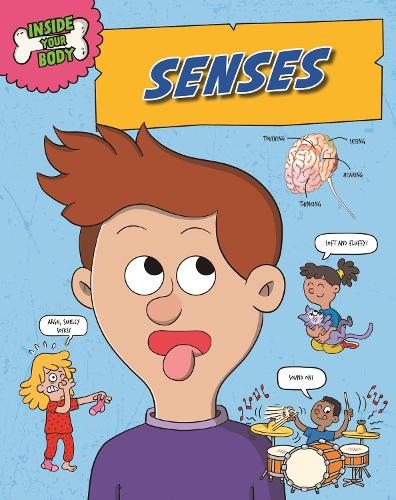 Inside Your Body: Senses - Inside Your Body (Hardback)