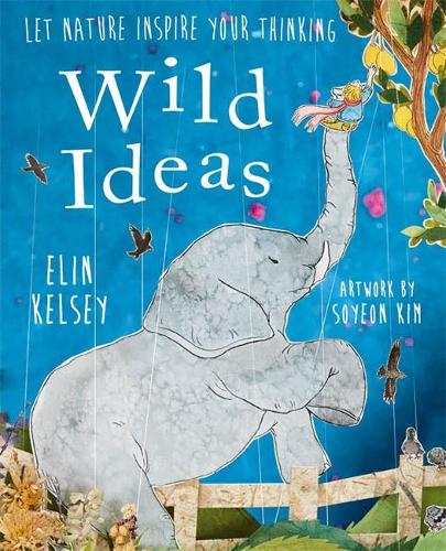 Wild Ideas (Hardback)