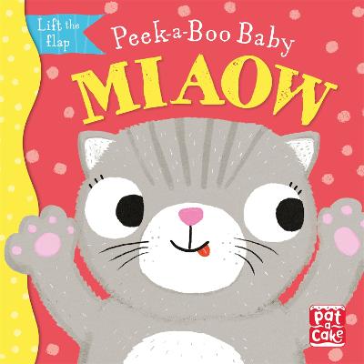 Peek-a-Boo Baby: Miaow: Lift the flap board book - Peek-a-Boo Baby (Board book)