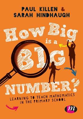 How Big is a Big Number?: Learning to teach mathematics in the primary school (Hardback)