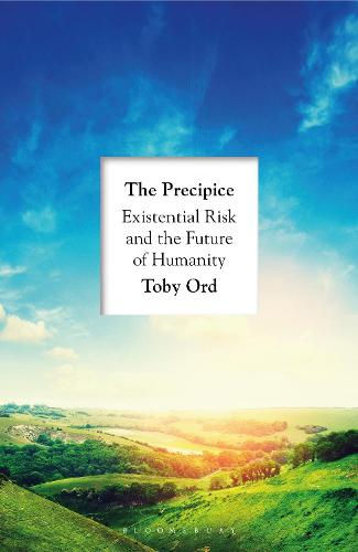 The Precipice (Hardback)