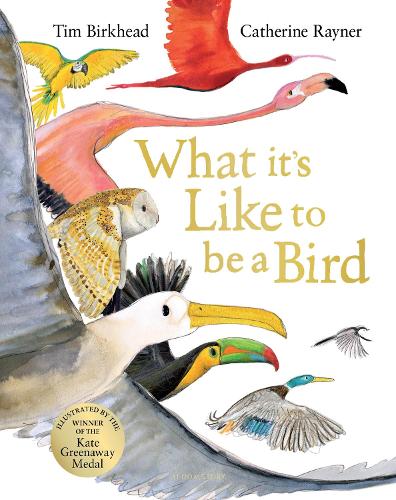 What it's Like to be a Bird (Hardback)