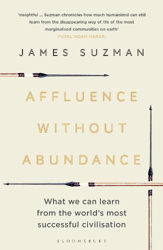 Affluence Without Abundance: What We Can Learn from the World's Most Successful Civilisation (Paperback)
