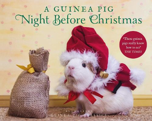 A Guinea Pig Night Before Christmas - Guinea Pig Classics (Hardback)