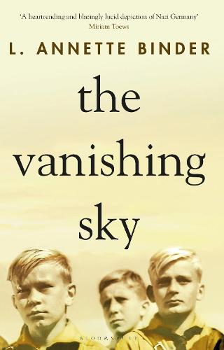 The Vanishing Sky (Hardback)