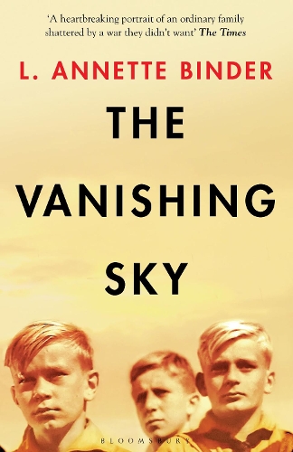 Cover of the book The Vanishing Sky