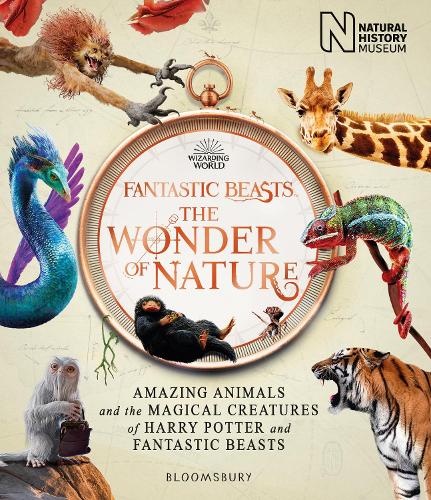 Fantastic Beasts: The Wonder of Nature by Natural History Museum |  Waterstones