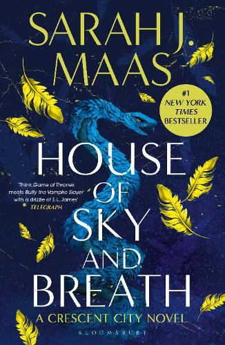 House of Sky and Breath alternative edition book cover