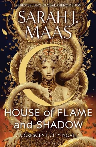 Cover of House of Flame and Shadow