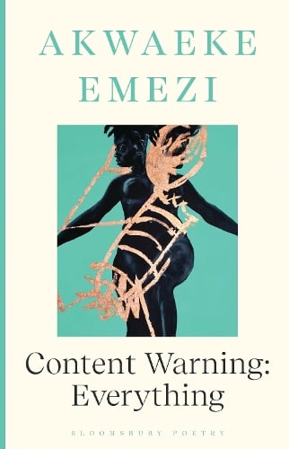 Akwaeke Emezi Content Warning