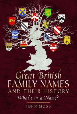 Great British Family Names and Their History: What's in a Name? (Paperback)