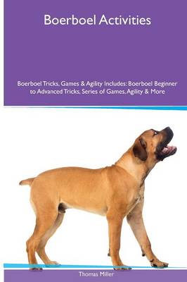 Boerboel Activities Boerboel Tricks, Games & Agility. Includes: Boerboel Beginner to Advanced Tricks, Series of Games, Agility and More (Paperback)