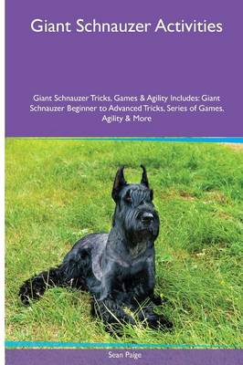 Giant schnauzer sale agility