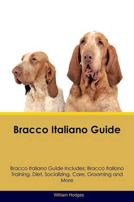 Bracco Italiano Guide Bracco Italiano Guide Includes: Bracco Italiano Training, Diet, Socializing, Care, Grooming, Breeding and More (Paperback)