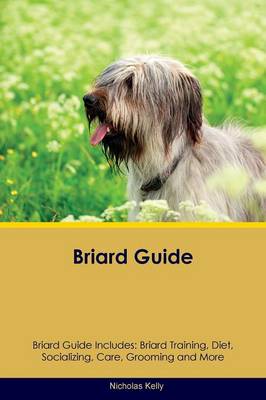 Briard Guide Briard Guide Includes: Briard Training, Diet, Socializing, Care, Grooming, Breeding and More (Paperback)