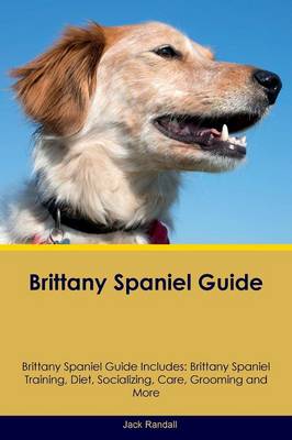Brittany Spaniel Guide Brittany Spaniel Guide Includes: Brittany Spaniel Training, Diet, Socializing, Care, Grooming, Breeding and More (Paperback)