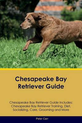 Chesapeake Bay Retriever Guide Chesapeake Bay Retriever Guide Includes: Chesapeake Bay Retriever Training, Diet, Socializing, Care, Grooming, Breeding and More (Paperback)