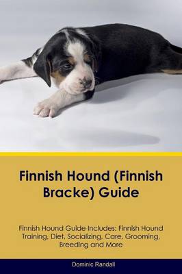 Finnish Hound (Finnish Bracke) Guide Finnish Hound Guide Includes: Finnish Hound Training, Diet, Socializing, Care, Grooming, Breeding and More (Paperback)