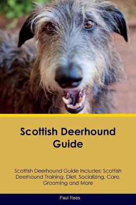 How Do You Groom Scottish Deerhound