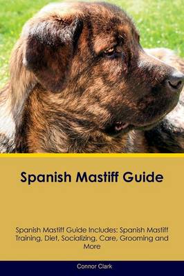 Spanish Mastiff Guide Spanish Mastiff Guide Includes: Spanish Mastiff Training, Diet, Socializing, Care, Grooming, Breeding and More (Paperback)
